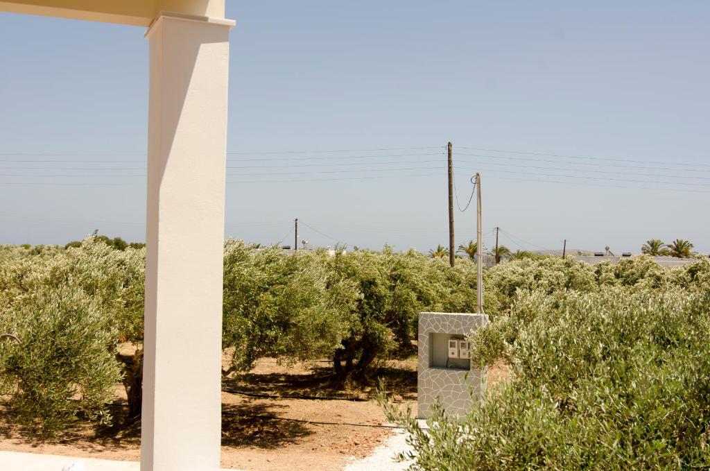 Giorgos villa photo 2