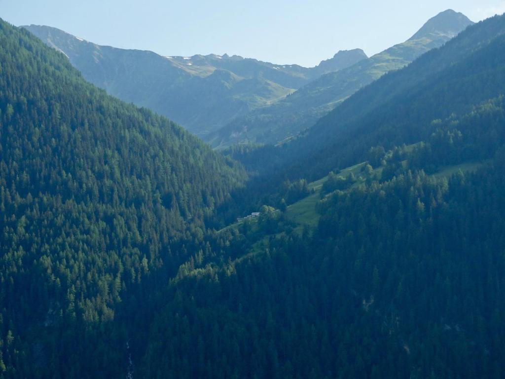 L'Appart de l'Arche photo 3
