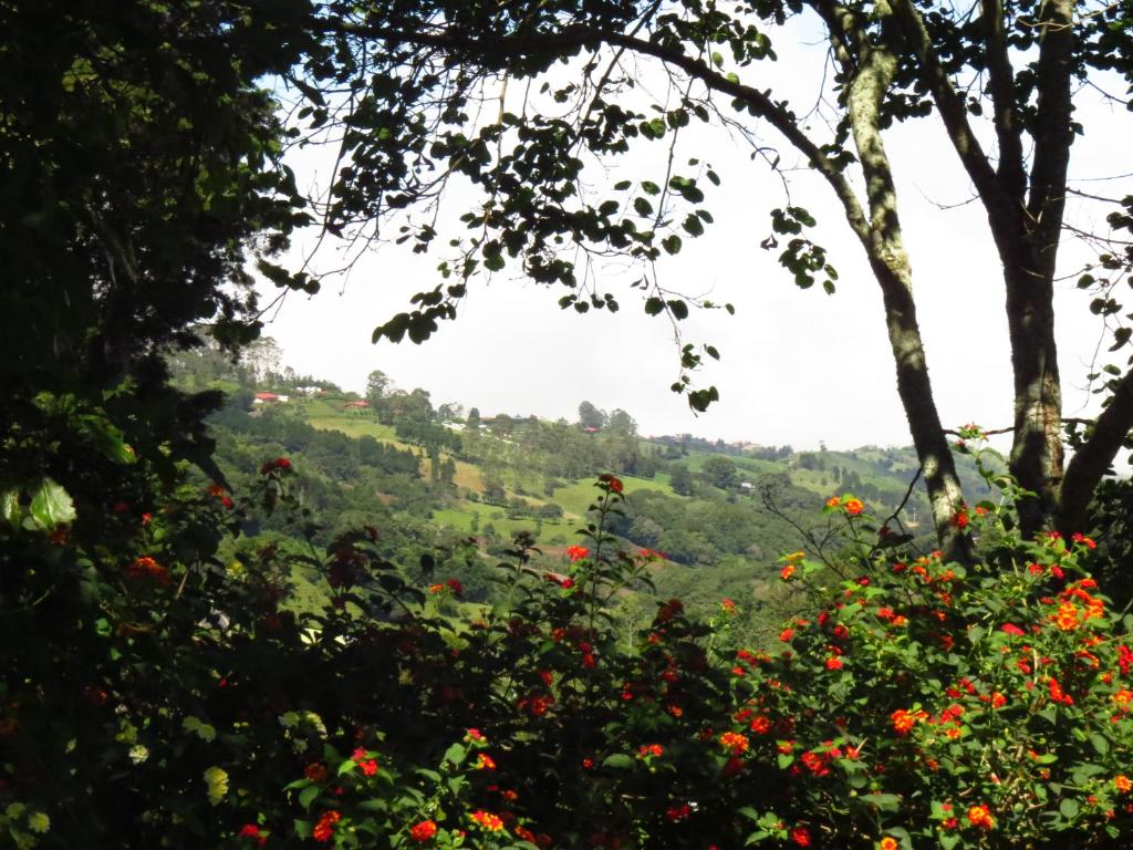 Rancho Amalia photo 2