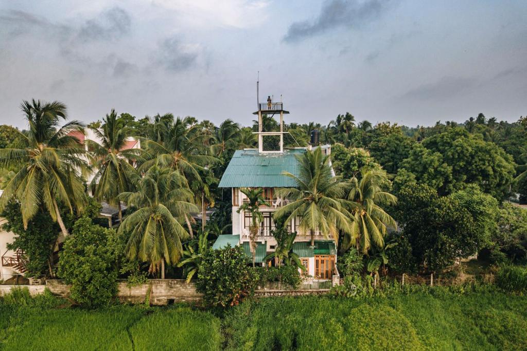 Heaven Upon Rice Fields photo 3