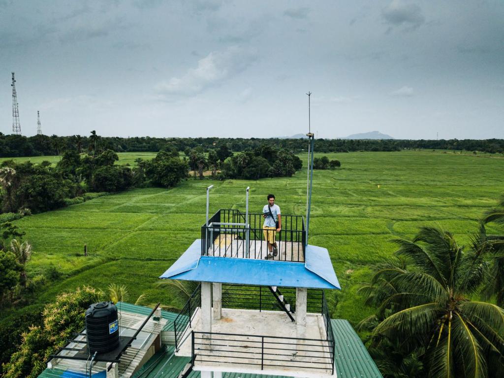 Heaven Upon Rice Fields photo 2