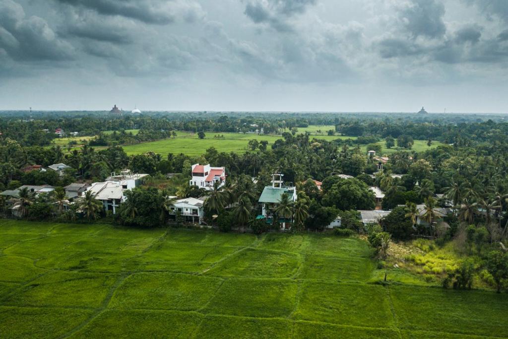 Heaven Upon Rice Fields photo 1
