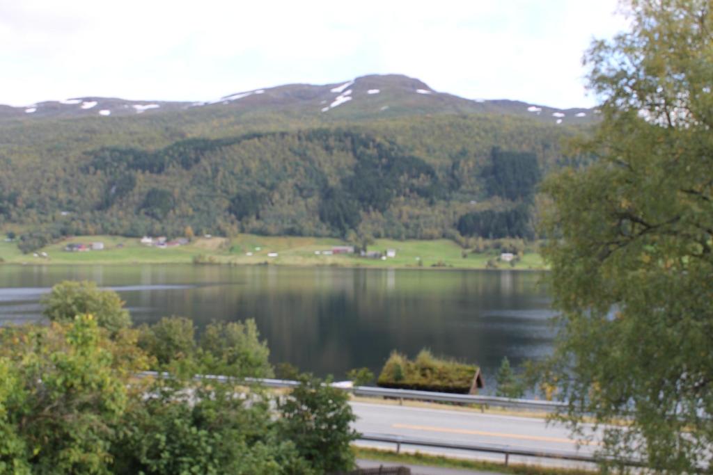 Oppheim-Myrkdalen privat hytte photo 1