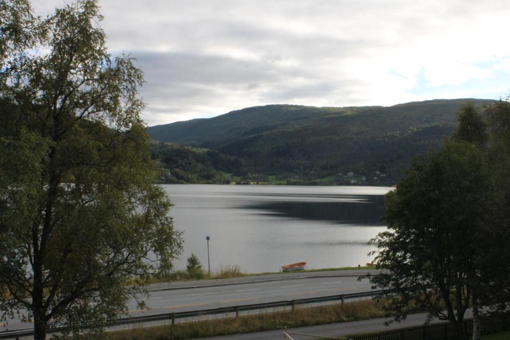 Oppheim-Myrkdalen privat hytte photo 3