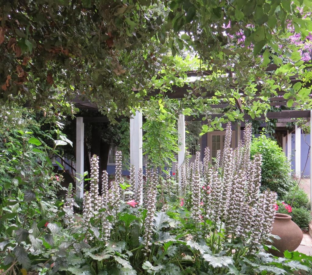 Hotel Boutique Quinta Maria photo 4