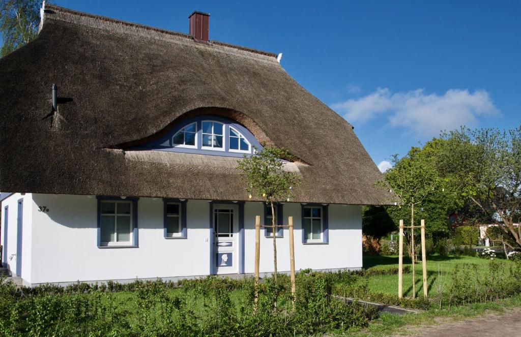 Haus Meerblau photo 2