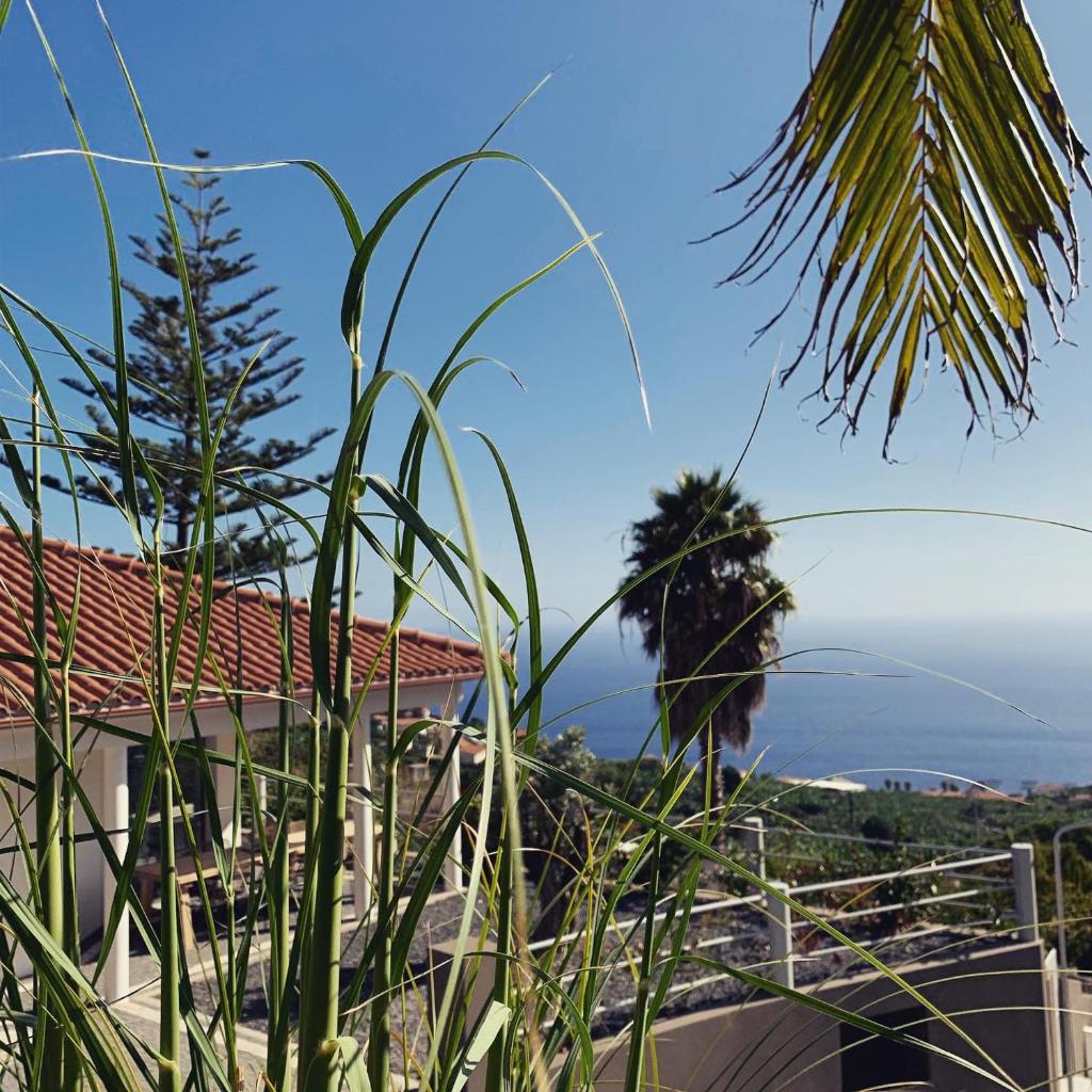 Calheta Boutique Houses photo 3