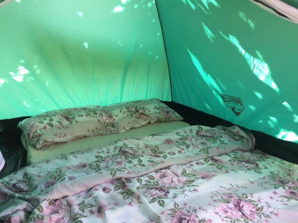 Camp Podkraj photo 3