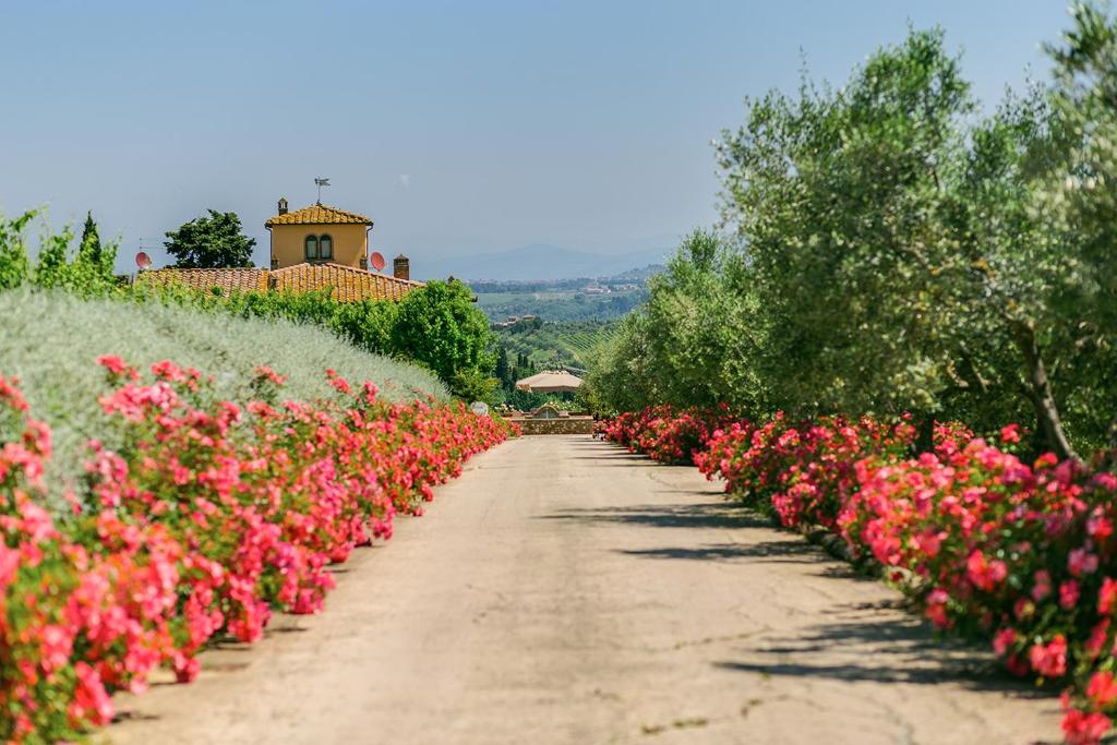 Sole del Chianti photo 1