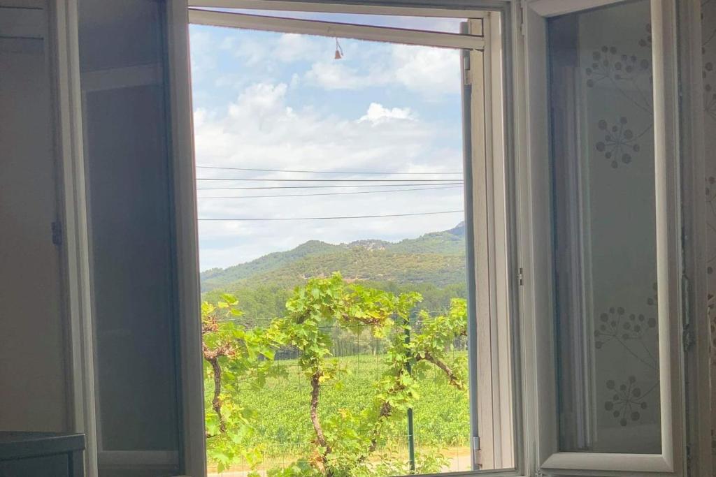 Appartement au Coeur de la Provence photo 4