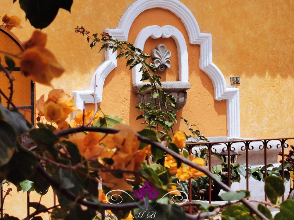 Maison Bougainvillea photo 1