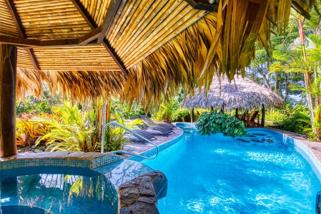 Hotel Banana Azul - Adults Only photo 1