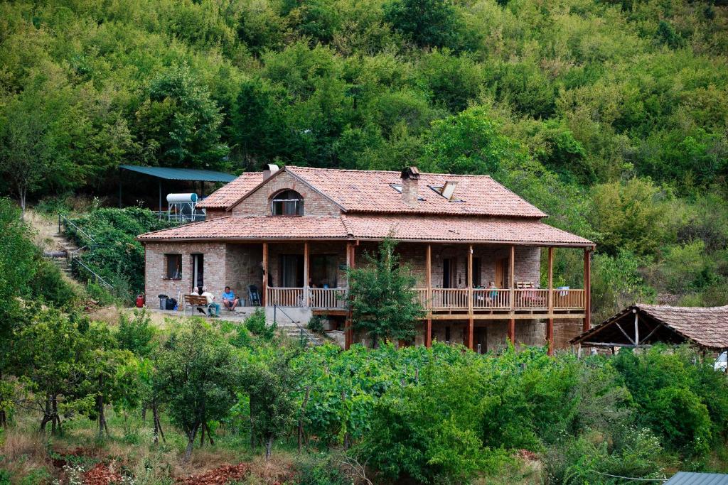 Nika Vacheishvili's guest house photo 1