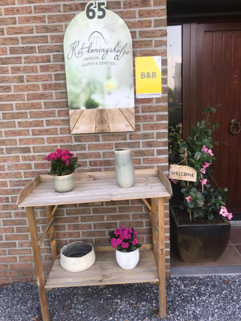 Het Koningshofje photo 2