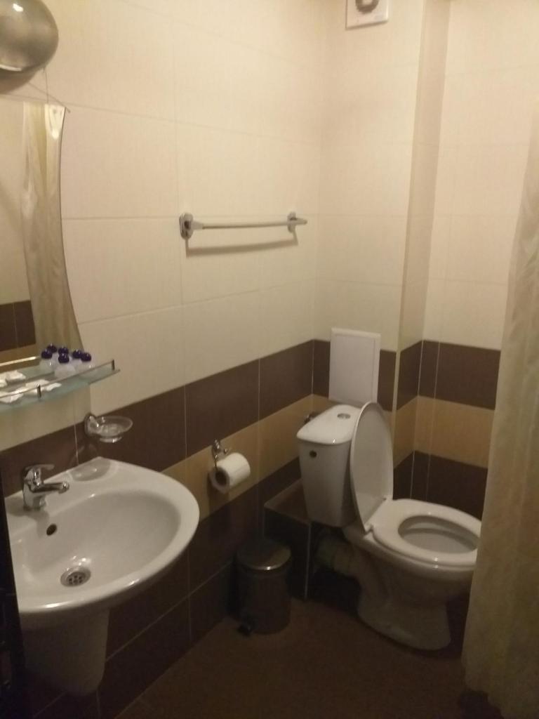 Двухместный (Стандартный двухместный номер с 1 кроватью), Maria-Antoaneta Residence