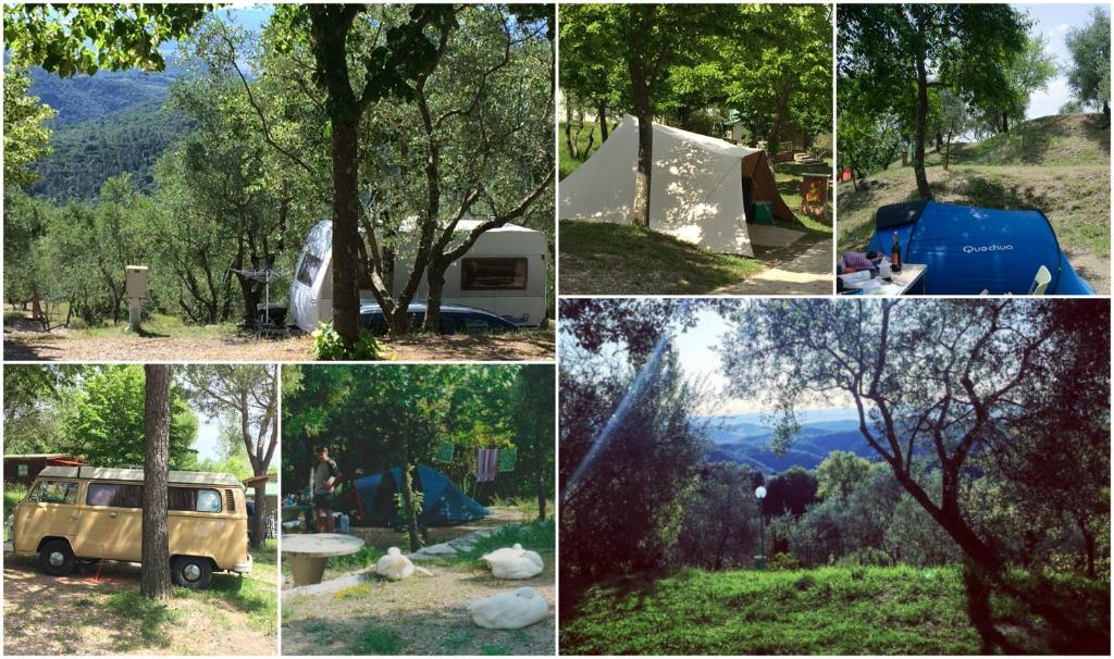 Camping Le Soline photo 1
