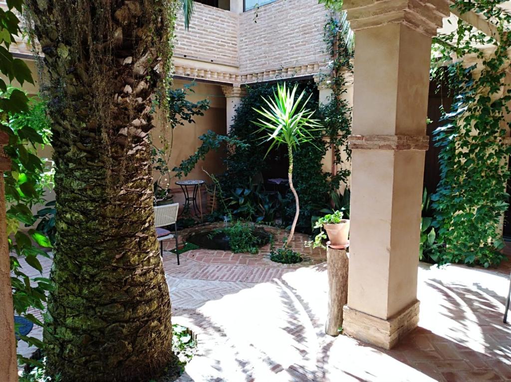 La Venta del Arriero photo 2
