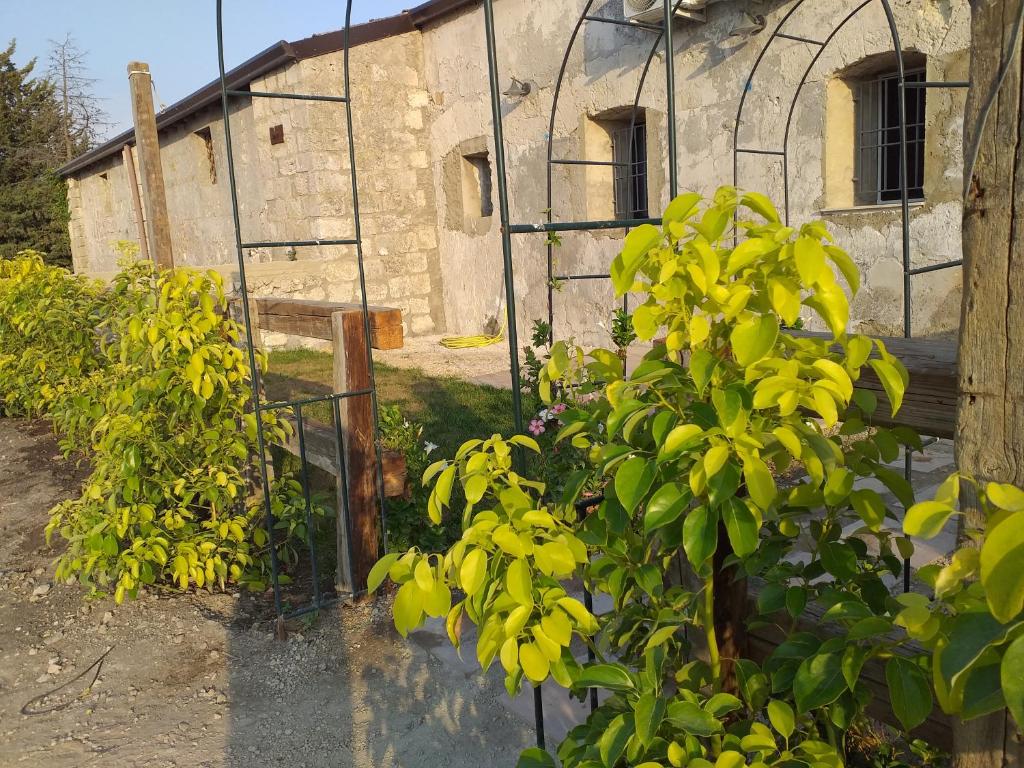 Gibbesi country farm piccolo cottage photo 4