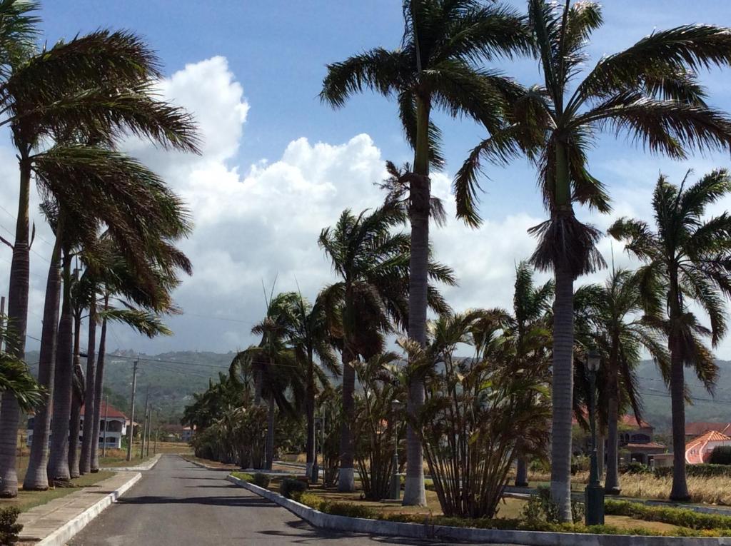 Jamaica Dream Gateway photo 1