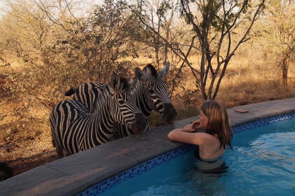 Uchawi wa Afrika photo 2