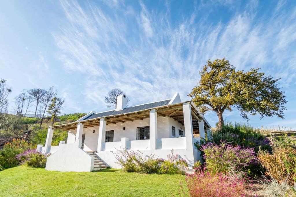 Druk My Niet Wine Estate photo 3