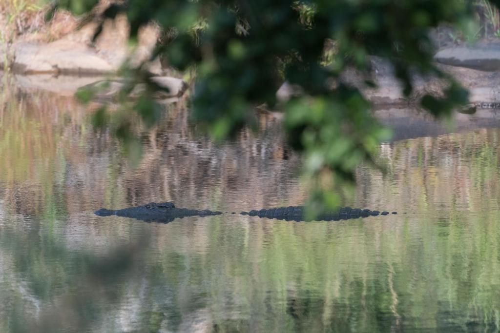 Rukiya Safari Camp photo 1
