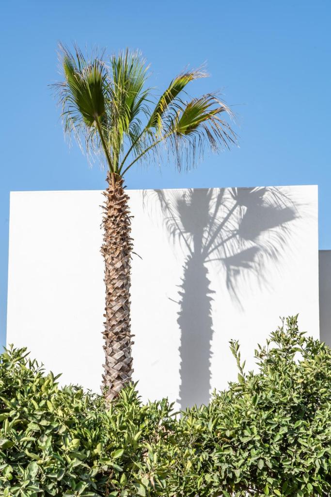 Вилла (Вилла с видом на сад), OD Can Jaume Private Villas
