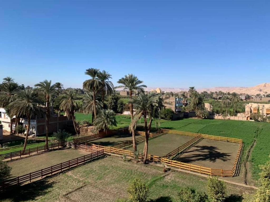 Одноместный (Одноместный номер), Cleopatra Hotel Luxor