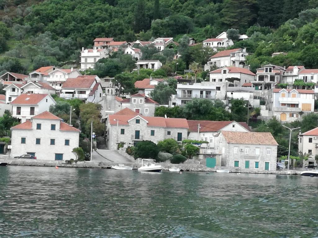 Apartman Irena photo 3