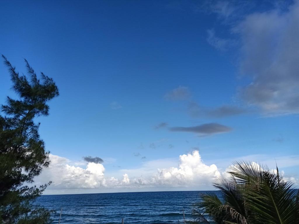 Nam Phong Guest House