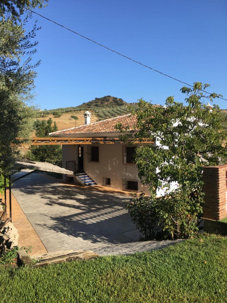 CASA DE LOS ALAMOS photo 1