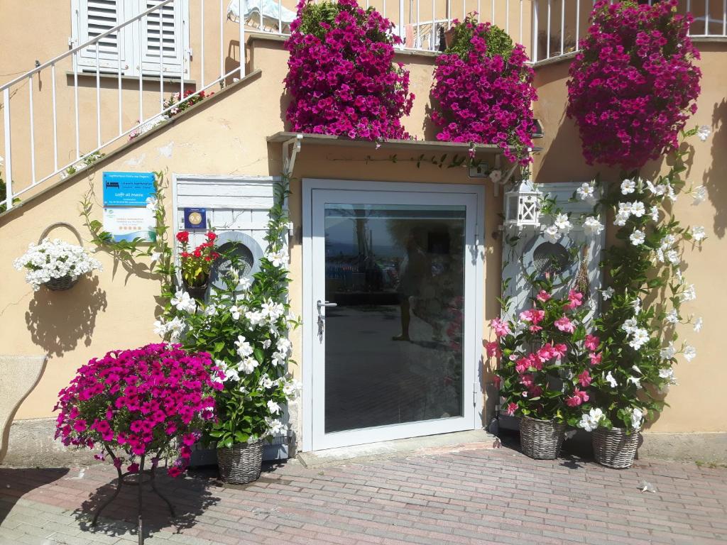 Loft al mare photo 4