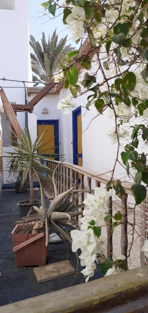 Neptune Hotel photo 1