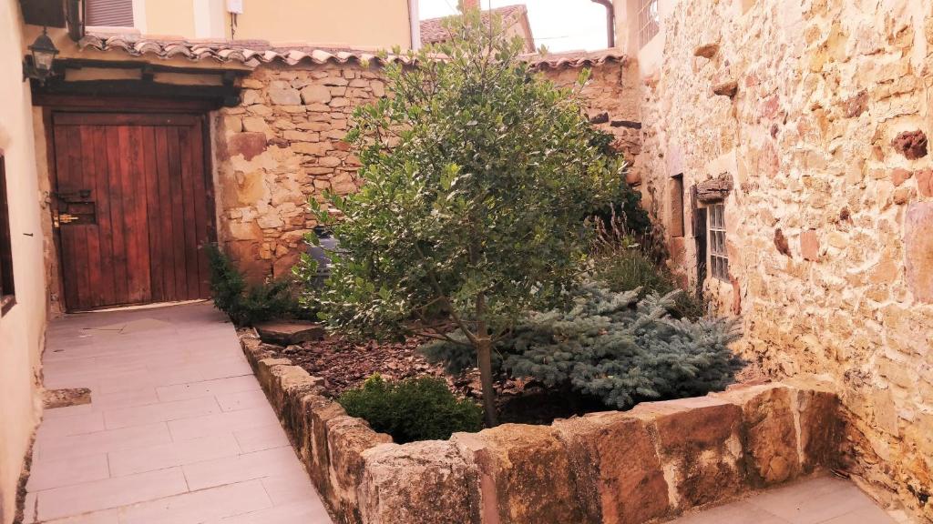 La Casa Amarilla photo 1