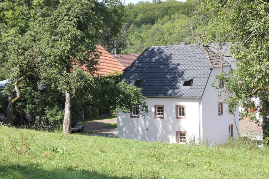 Ferienhaus Sprink Vulkaneifel photo 4