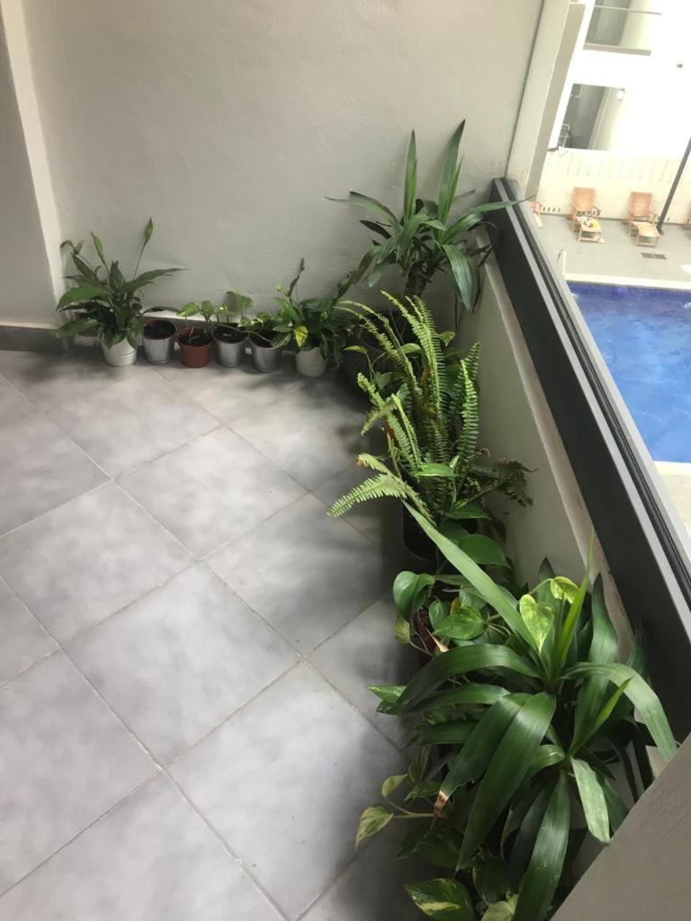 Appartement Miramar photo 3