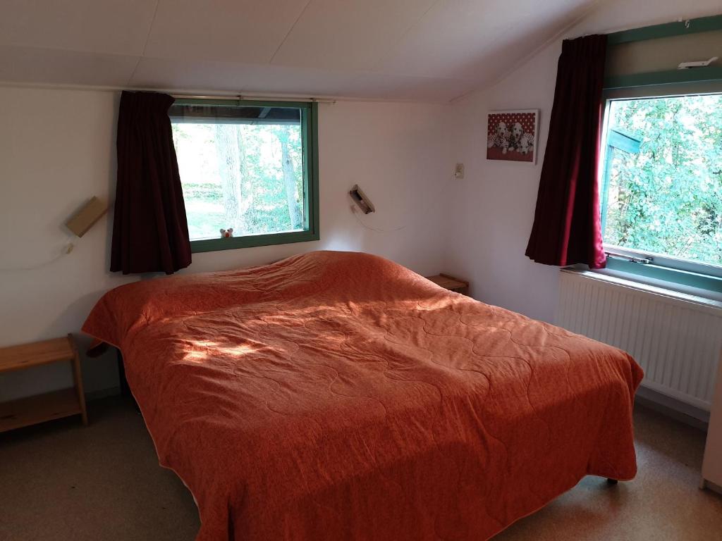 Vakantiebungalow Oase photo 3