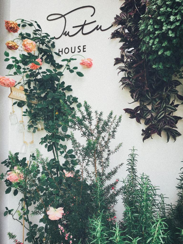 TUTU HOUSE