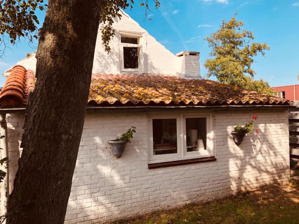 Farmhouse near beach photo 2