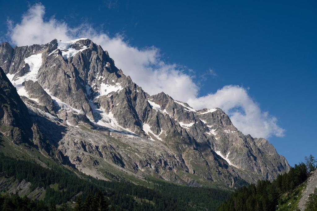 TH Courmayeur photo 3