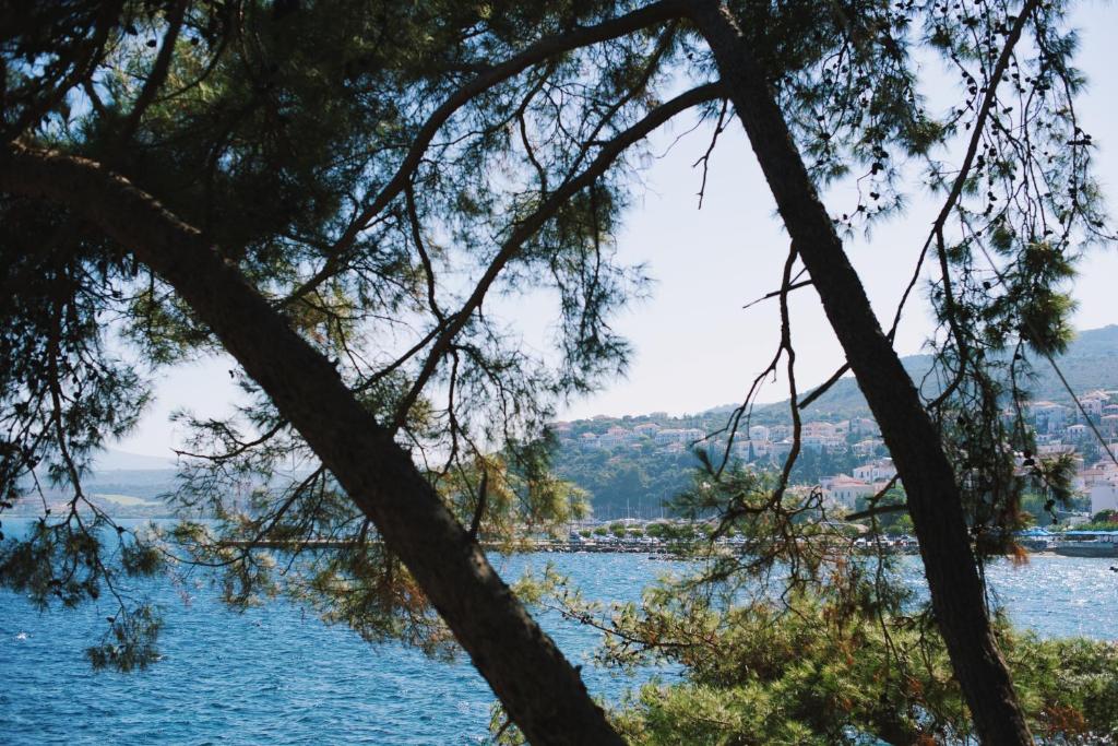 Karalis Beach photo 4