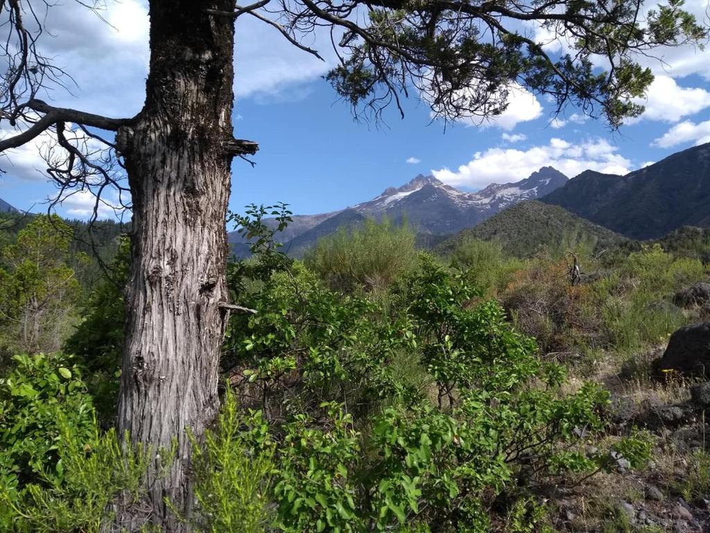 Rincon del Montañes photo 2