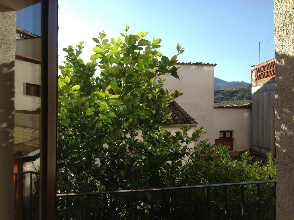 Hostal Cerezo 2 photo 4