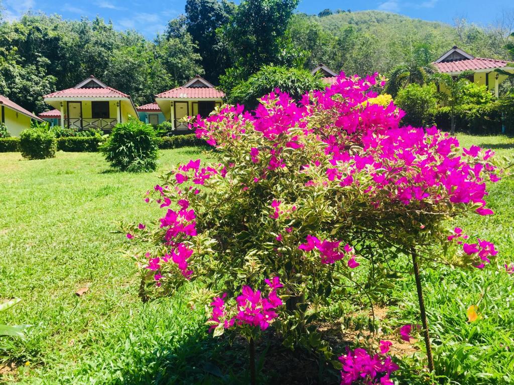 Mookies Bungalows photo 4