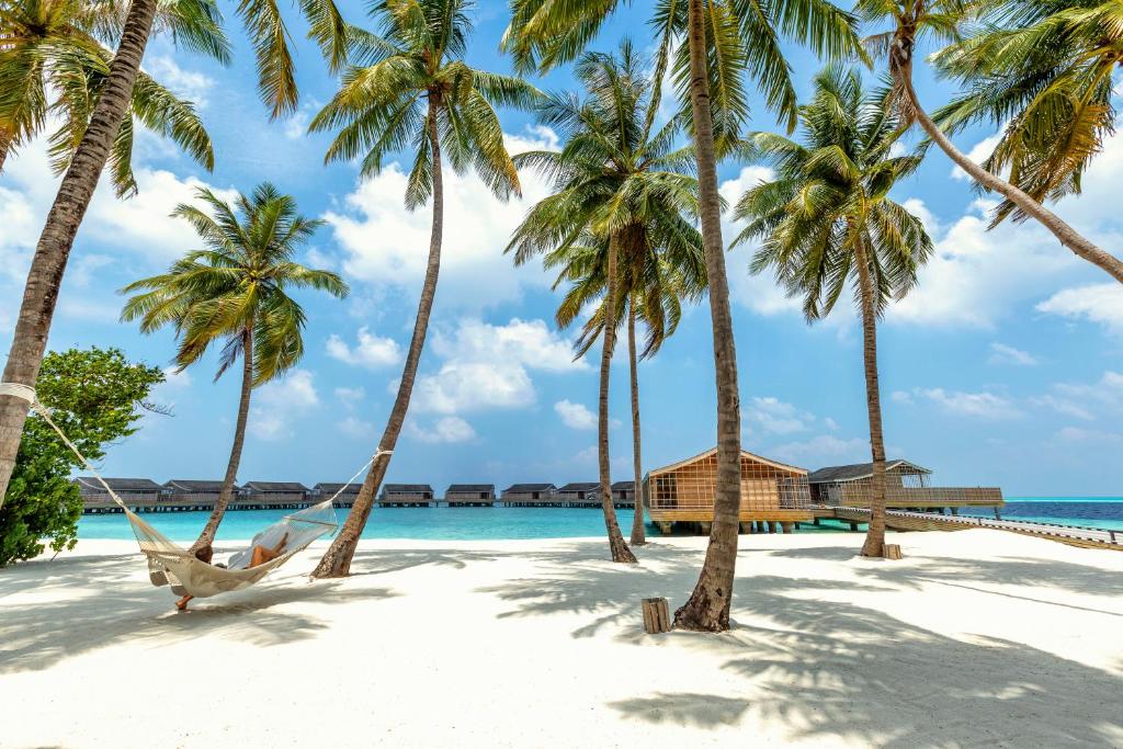 Kudadoo Maldives Private Island – Luxury All inclusive photo 3