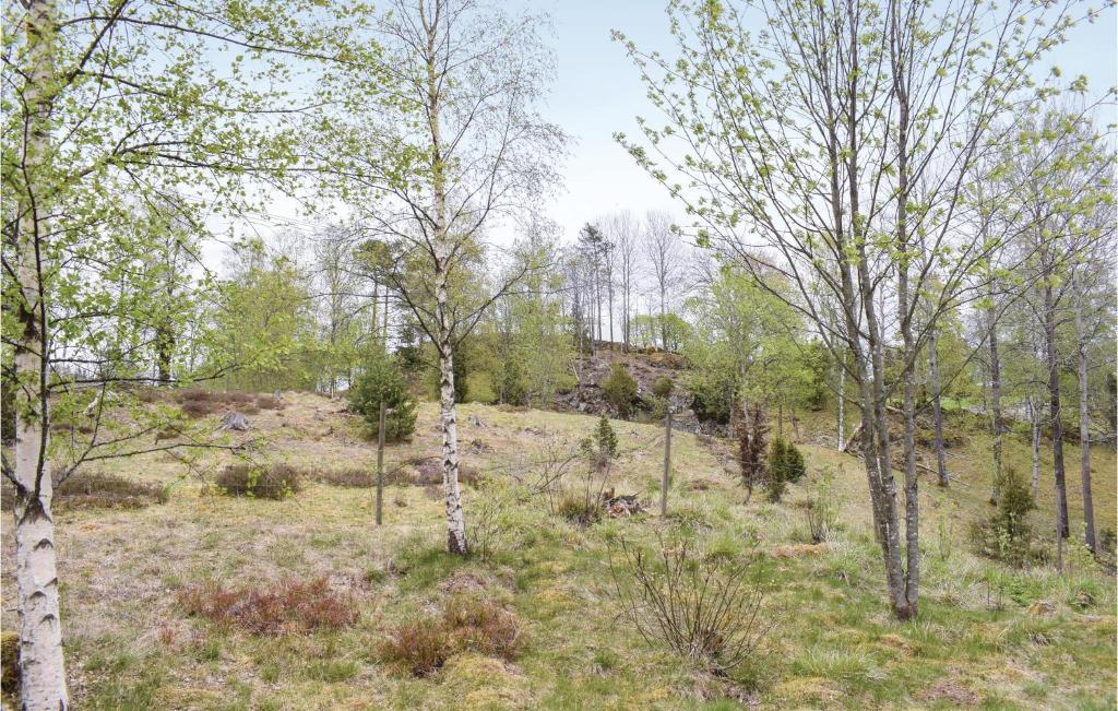 Beautiful Home In Bodafors With 1 Bedrooms photo 3