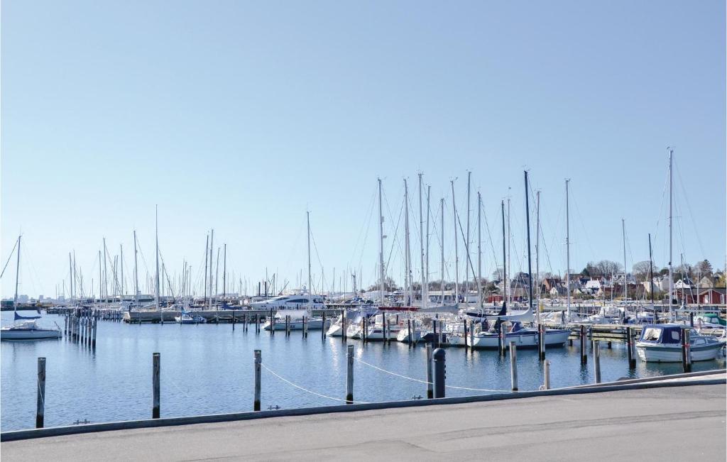 Awesome Apartment In Charlottenlund With 1 Bedrooms And Wifi photo 2