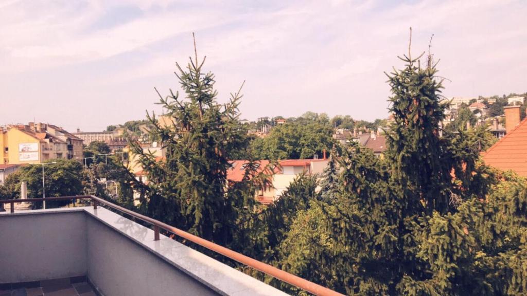 Апартаменты (Апартаменты с балконом), Carolina Apartman