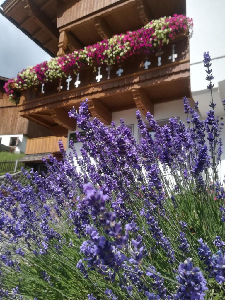 Haus Anna photo 2
