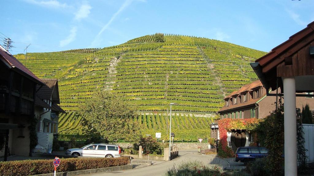 Hotel Altenberg photo 3